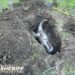 Deputies in Spokane recover $70,000 stolen metal T-Rex statue buried underground
