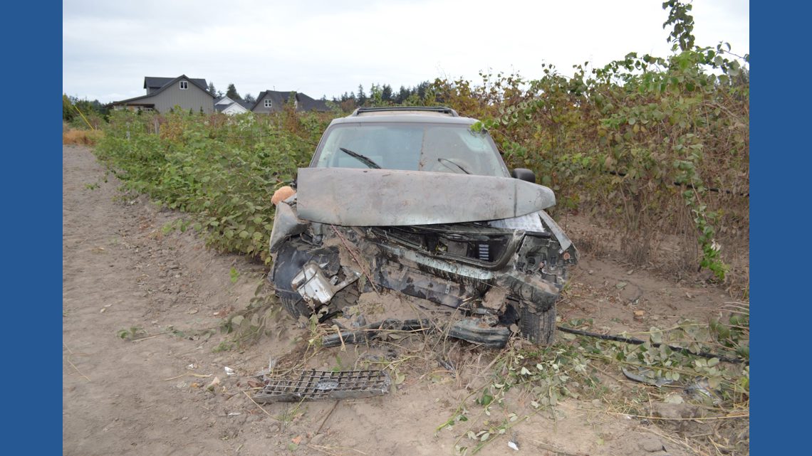 Driver wanted in fatal 2016 Whatcom County crash confirmed dead in Guatemala, WSP says
