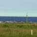 Father applies tourniquet after shark attacks teenage son miles off Texas coast