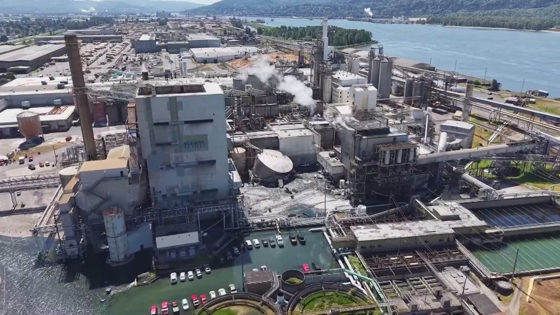 Nine confirmed dead, two missing as recovery operations continue at Longview paper mill site