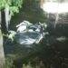Tesla in autopilot mode crashes into pond, killing 87-year-old driver: Florida Highway Patrol